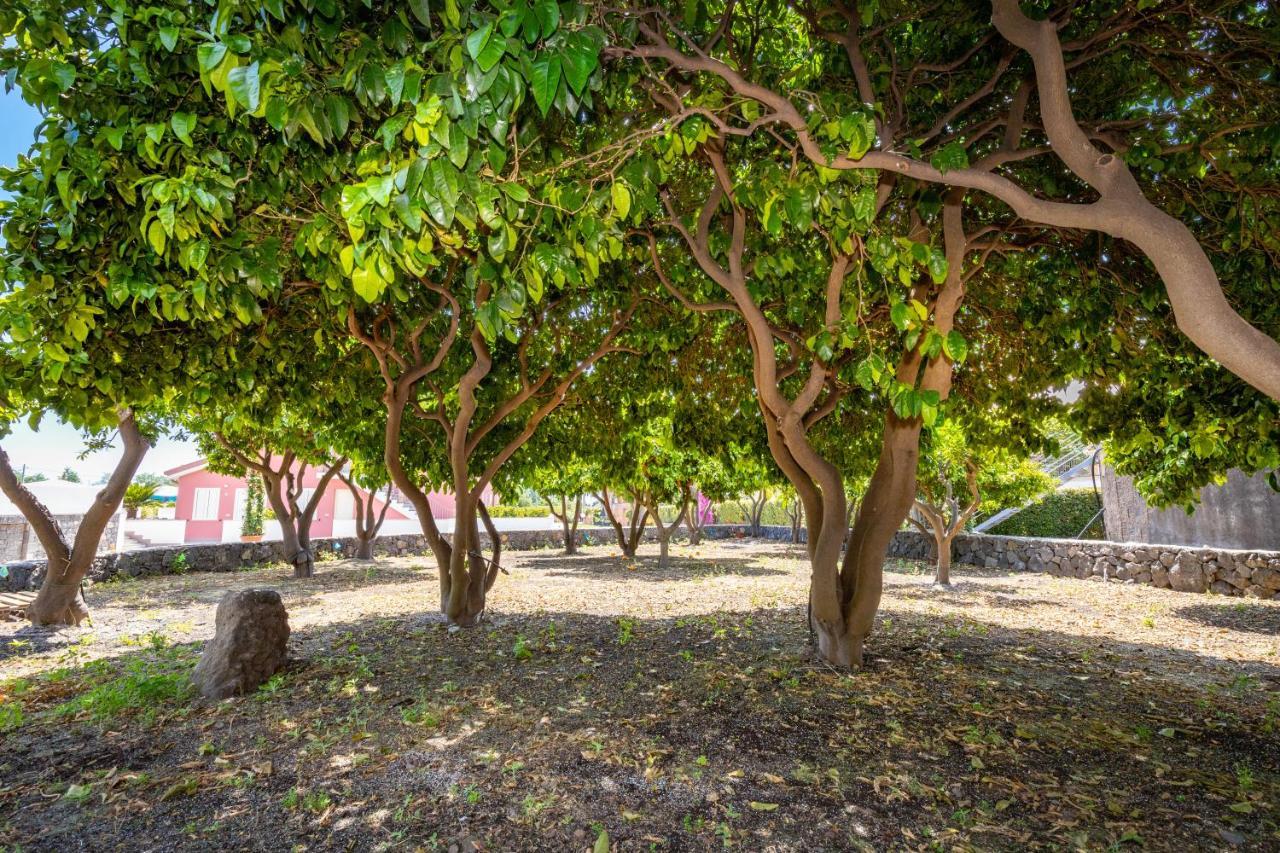 Dipladenia Garden Country Resort マスカリ エクステリア 写真